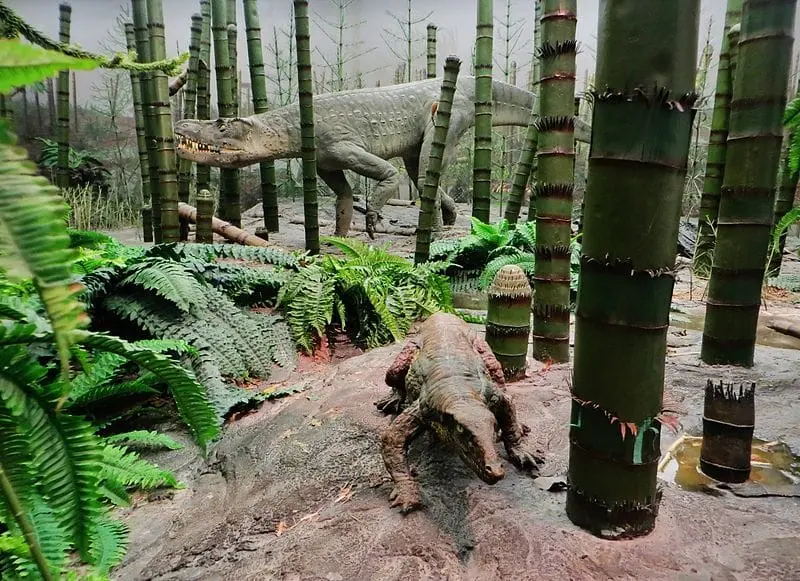 Diorama from the Triassic period. Exhibition at the Museum am Löwentor, Stuttgart (Germany). The animals represented here are a Paratypothorax in the foreground and Batrachotomus in the background.