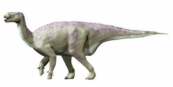 Reconstrução de um Iguanodon bernissartensis