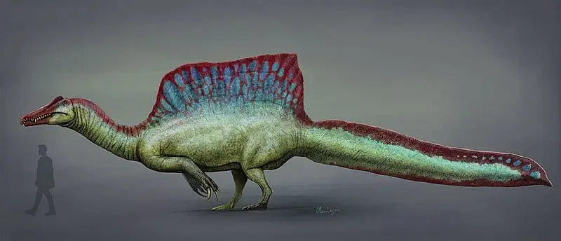 Reconstrução de espinossauro feita em 2020 por Mario Lanzas