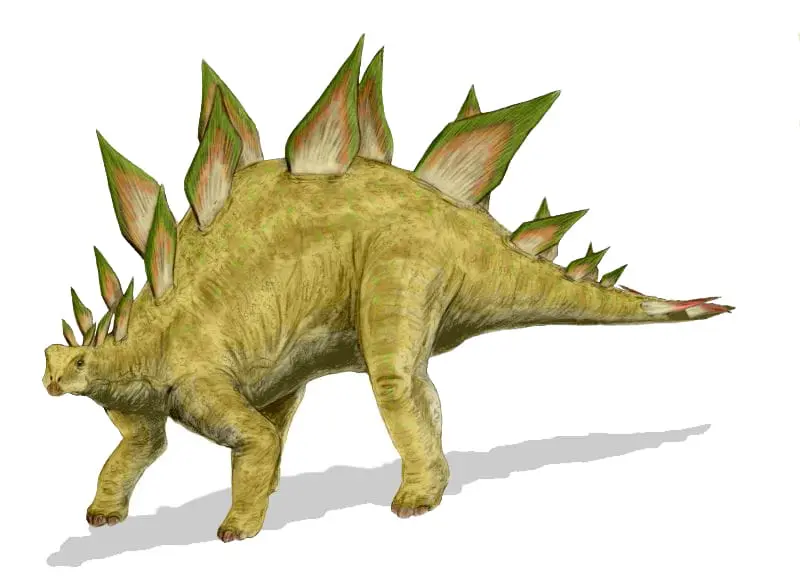 Reconstrução de Stegosaurus stenops