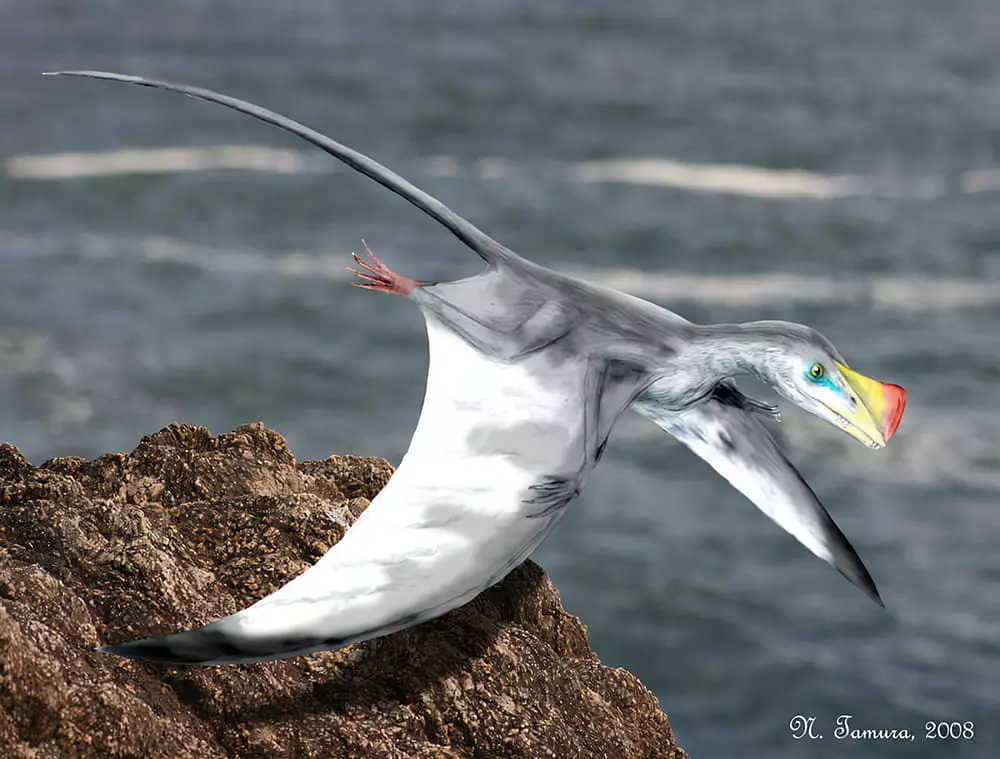 Pterossauro do gênero Austriadactylus
