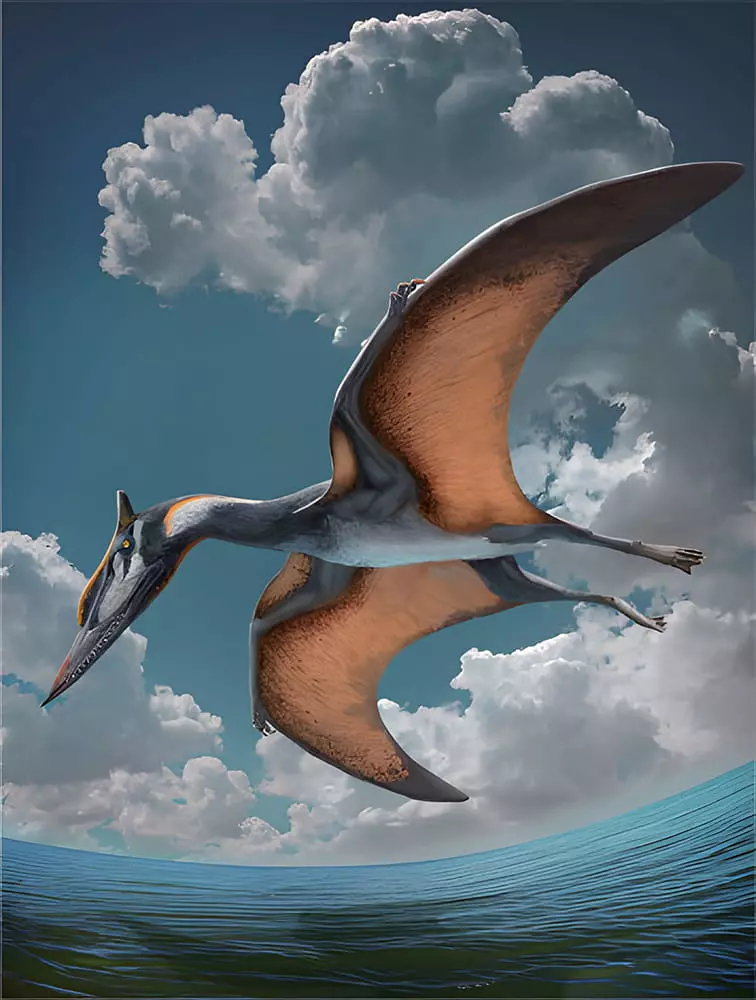 Pterossauro pterodactilóide da espécie Dsungaripterid Ordosipterus